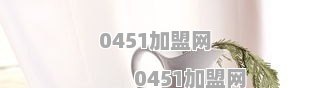 开一家智能家居加盟店大概要多少钱