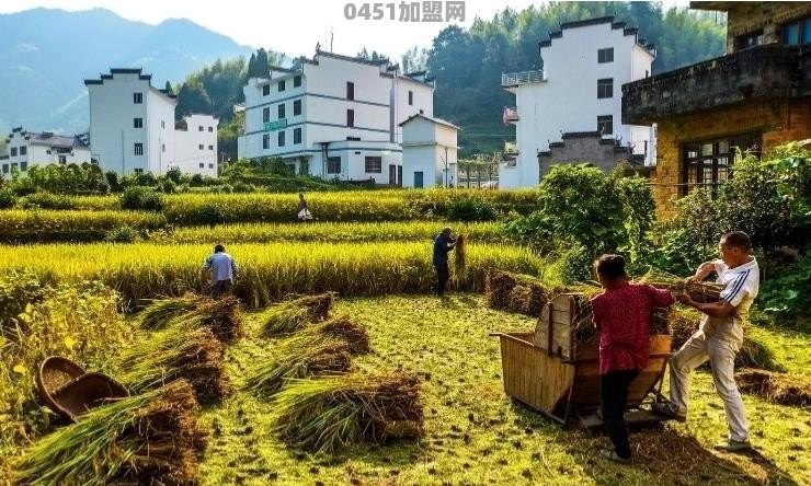 下地干农活时有哪些难忘的经历