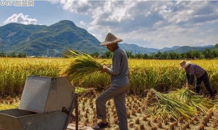 下地干农活时有哪些难忘的经历
