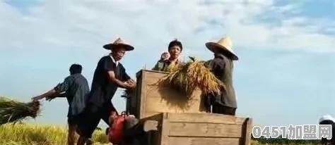 下地干农活时有哪些难忘的经历