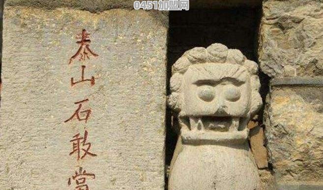 野牛登陆艇性能强大，中国为何只造4艘