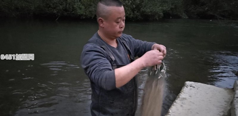 什么是你最向往的生活