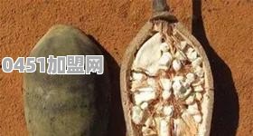 目前你知道谁为西安捐款捐物了吗