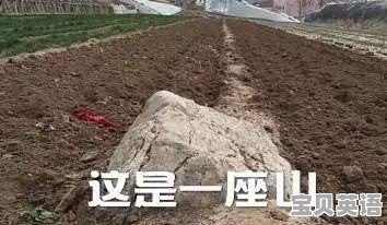 中考英语如何超常发挥 - 宝贝英语