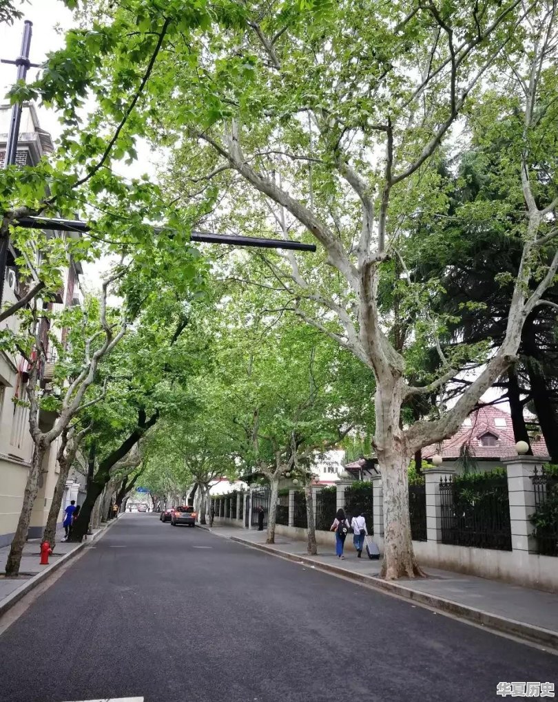 目前整个上海，你觉得最漂亮的地方在哪里 - 华夏历史