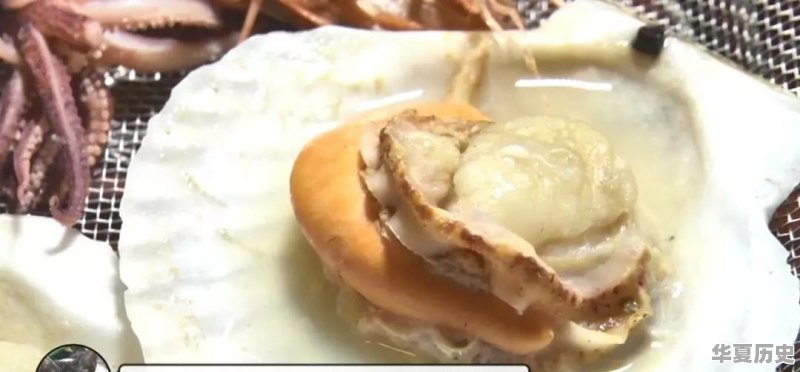 有哪些介绍日本美食和饮食文化的书籍值得推荐 - 华夏历史