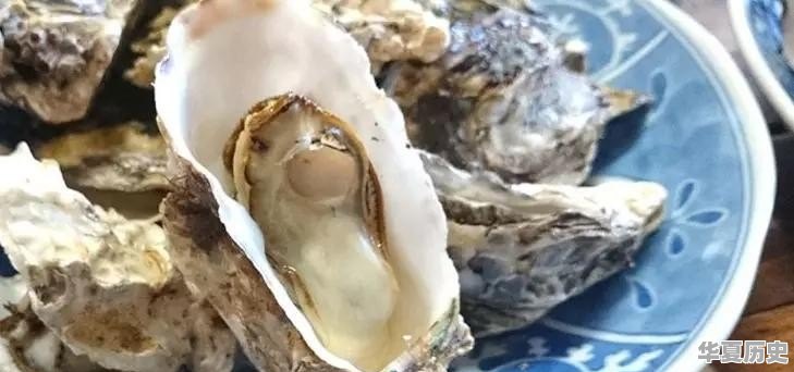 有哪些介绍日本美食和饮食文化的书籍值得推荐 - 华夏历史