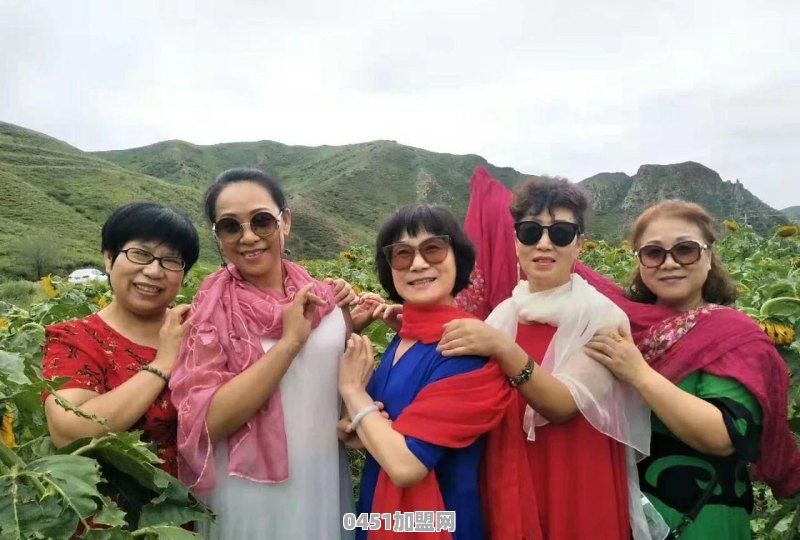 农村的中年妇女可以做些什么能赚钱啊
