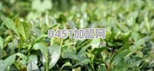 云浮市的90后想创业，做什么生意比较好