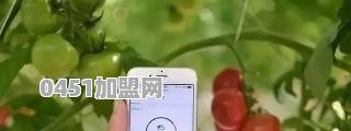 5G物联网智能时代会颠覆农业区域哪些产业