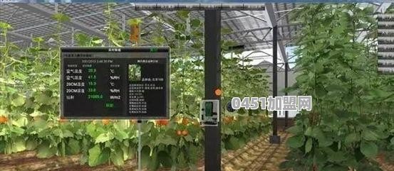 5G物联网智能时代会颠覆农业区域哪些产业
