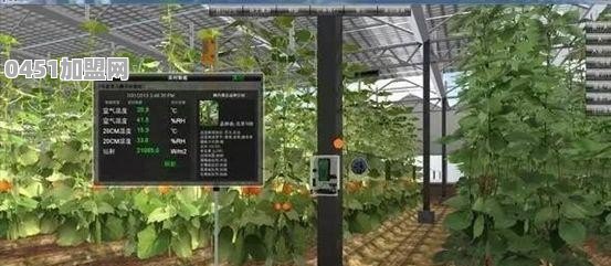 5G物联网智能时代会颠覆农业区域哪些产业