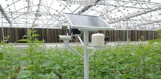 5G物联网智能时代会颠覆农业区域哪些产业
