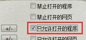 电脑如何设置只允许运行指定程序打开指定软件