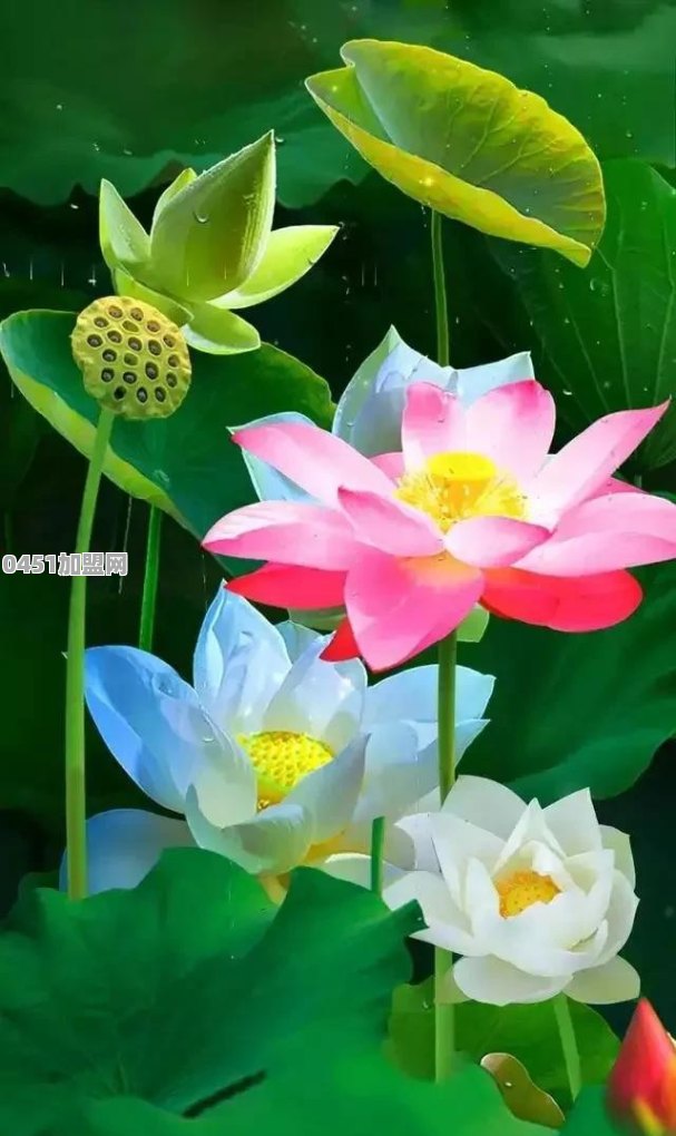 究竟什么是生活