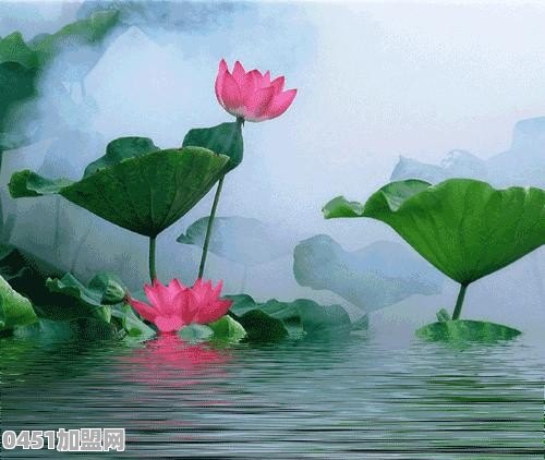 究竟什么是生活