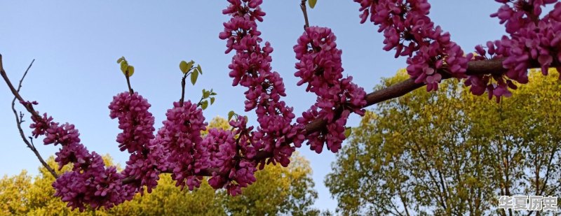 说走就走的旅行你都去过哪里 - 华夏历史