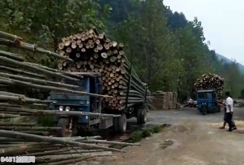 怀化农村自主创业哪个项目最有前景