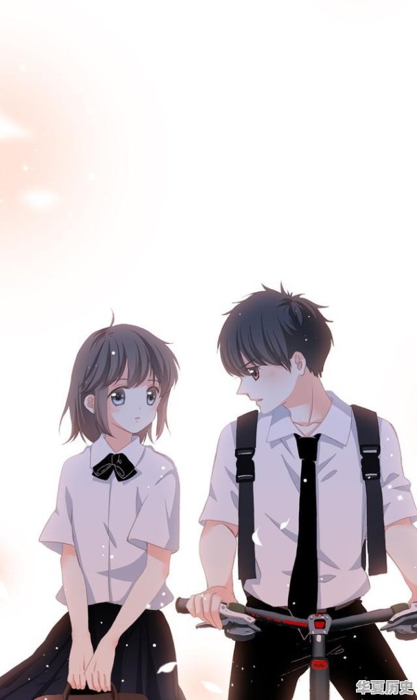 历史类的原创视频一般都是怎么做的？该怎样找素材，才算是原创视频 - 华夏历史