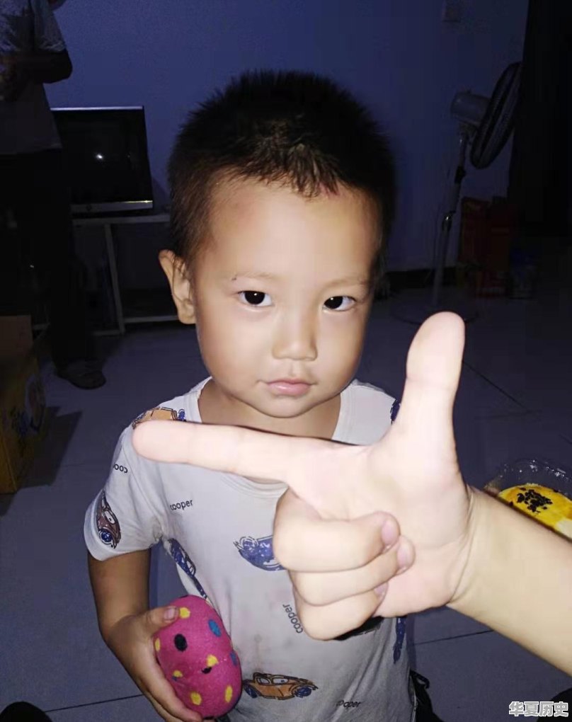 你们都是怎么过中秋的？有图片视频吗 - 华夏历史