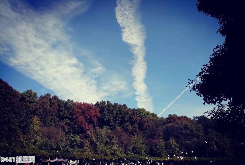 南京有哪些适合秋游的地方