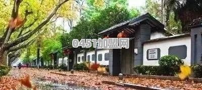 南京有哪些适合秋游的地方