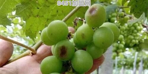 榻榻米实用吗？有哪些用途