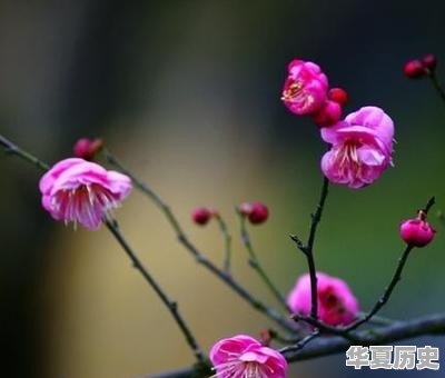 历史上最伟大的战役是哪场 - 华夏历史