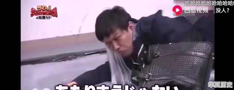 日本的综艺节目到底有多变态 - 华夏历史
