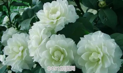 水果产地怎么找