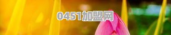 有没有什么特别有文采的句子