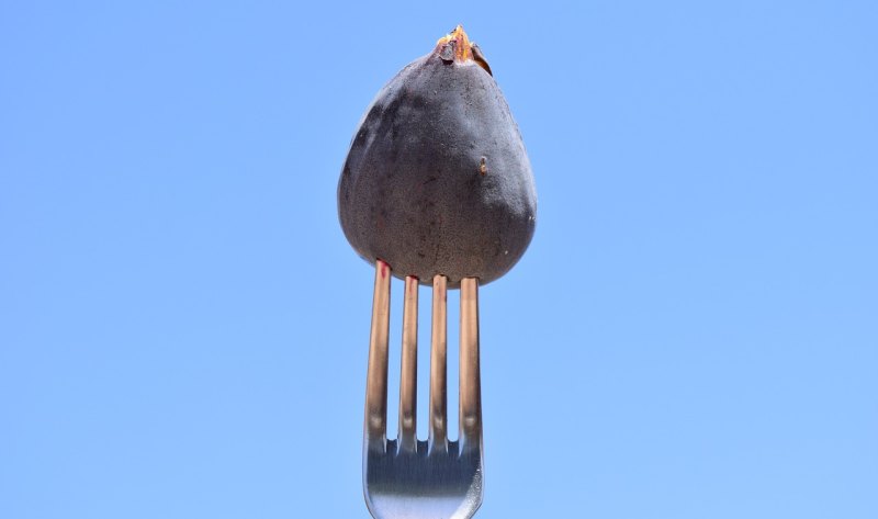 火克金，是什么意思