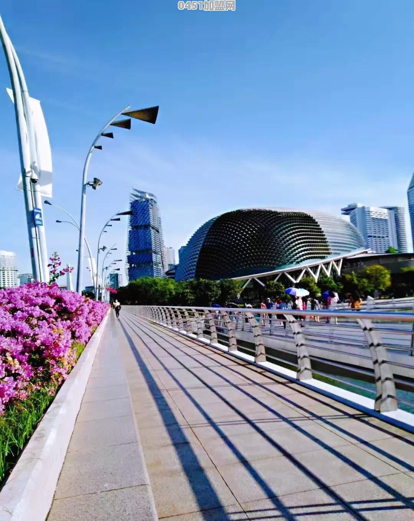 该不该去新加坡旅游