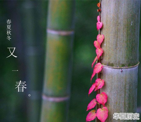 地球人到底是从外星移民过来的还是进化过来的 - 华夏历史