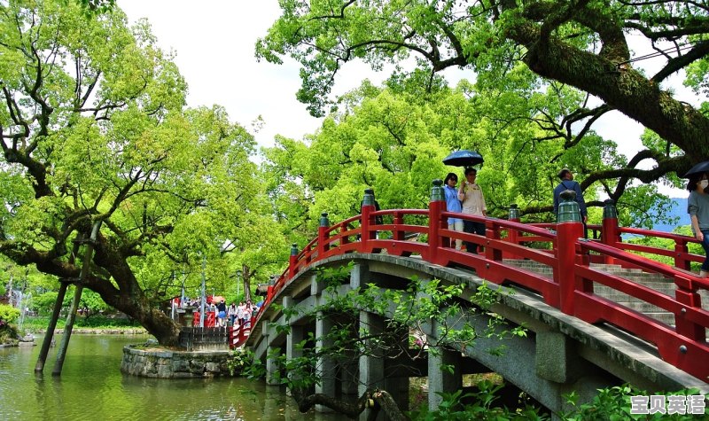 中餐厅第五季第六期周也唱了一首什么歌 - 宝贝英语