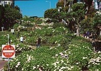 旧金山十大必去景点