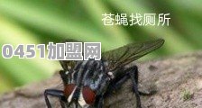 老年男子最好不要请年轻女保姆，麻烦多，你认为有道理吗