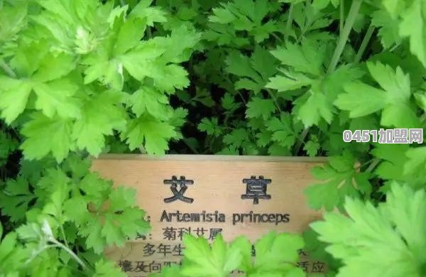 在四线城市投资三十万，做什么生意好