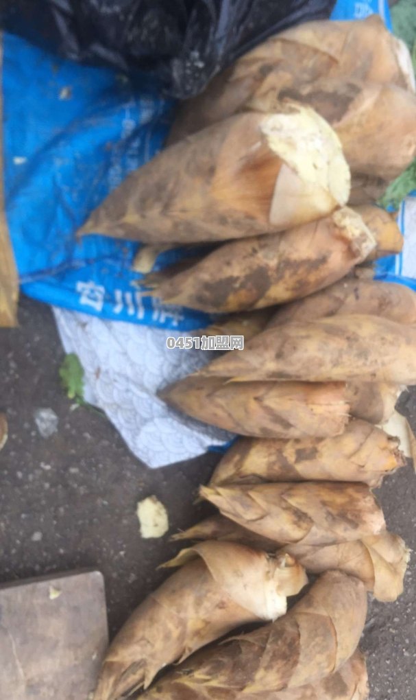 在四线城市投资三十万，做什么生意好