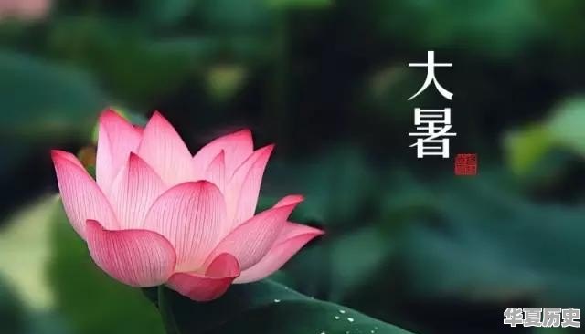 明日大暑，在养生方面应该注意些什么呢 - 华夏历史