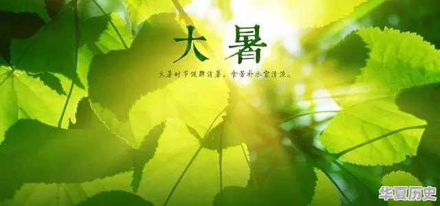 明日大暑，在养生方面应该注意些什么呢 - 华夏历史