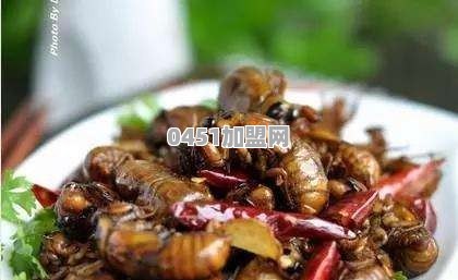 在河南周口的农村，做什么可以月入5000啊