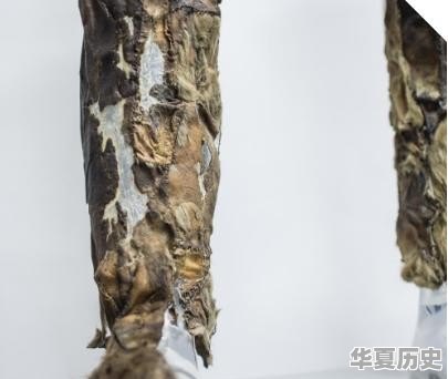 远古人类是怎么保暖的 - 华夏历史