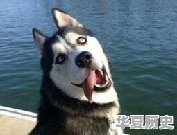 普通人如何做到正能量？正能量的定义是什么 - 华夏历史