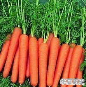普通人如何做到正能量？正能量的定义是什么 - 华夏历史