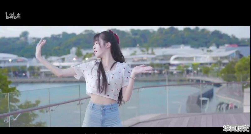 看了B站《后浪》你真实感受是什么 - 华夏历史