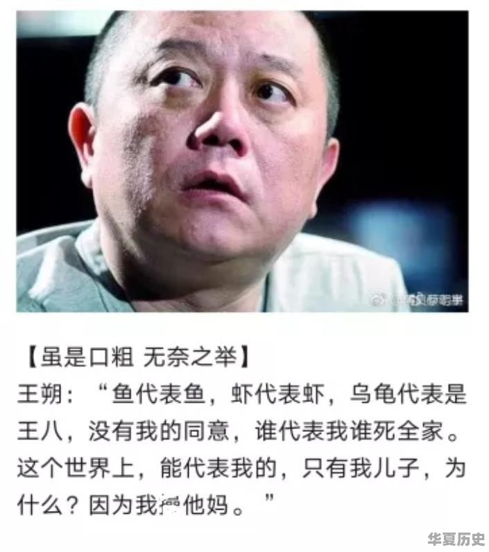 看了B站《后浪》你真实感受是什么 - 华夏历史