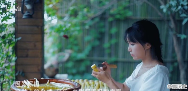 看了B站《后浪》你真实感受是什么 - 华夏历史