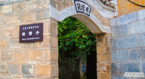 看了B站《后浪》你真实感受是什么 - 华夏历史