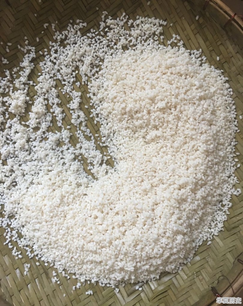 广西年粽放粘米吗 - 华夏历史